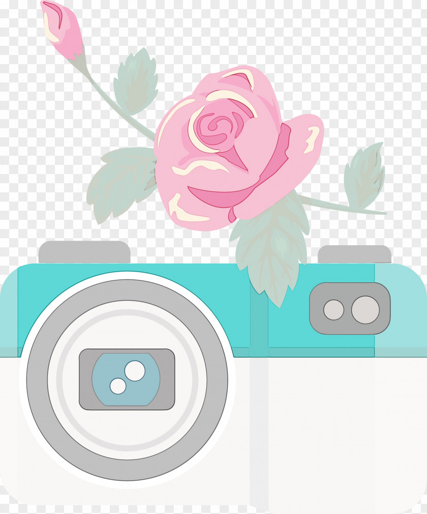 Flower Petal Meter PNG