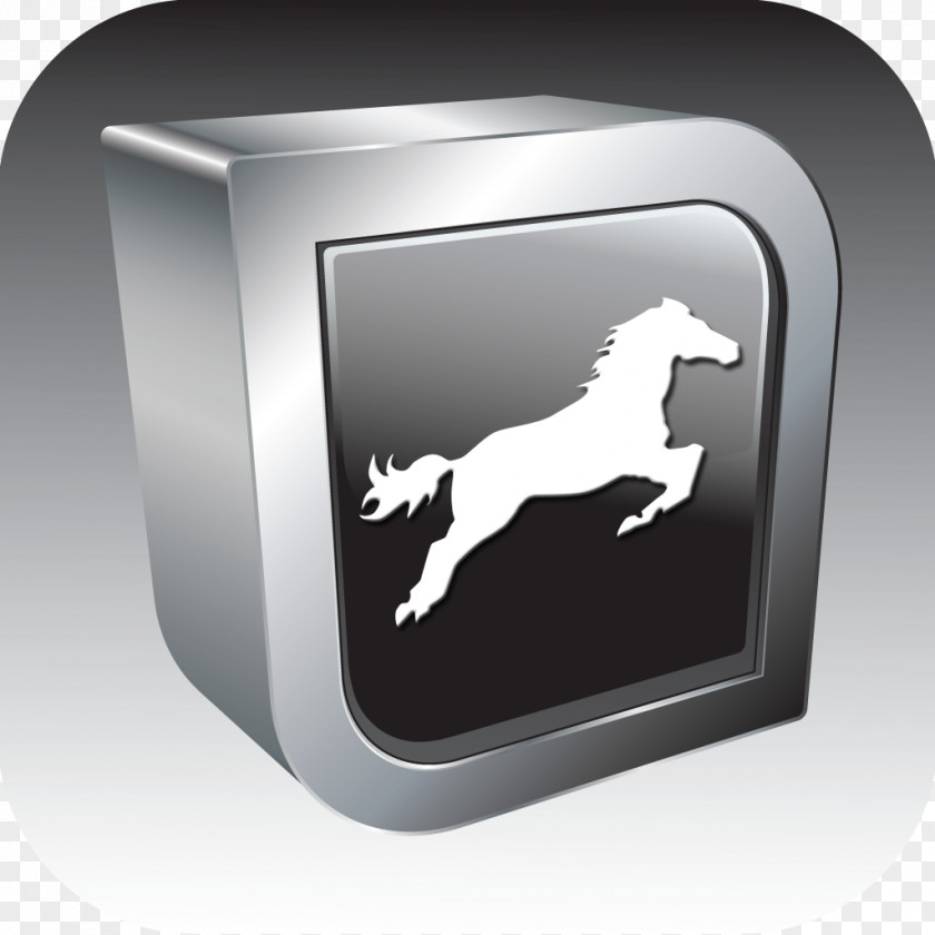 Horse Foal Equine Radiography Veterinarian Stable PNG