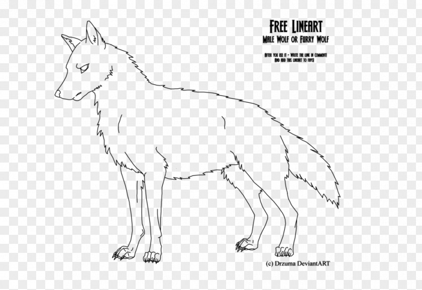 Line Art Furry Fandom Drawing Gray Wolf Cartoon PNG