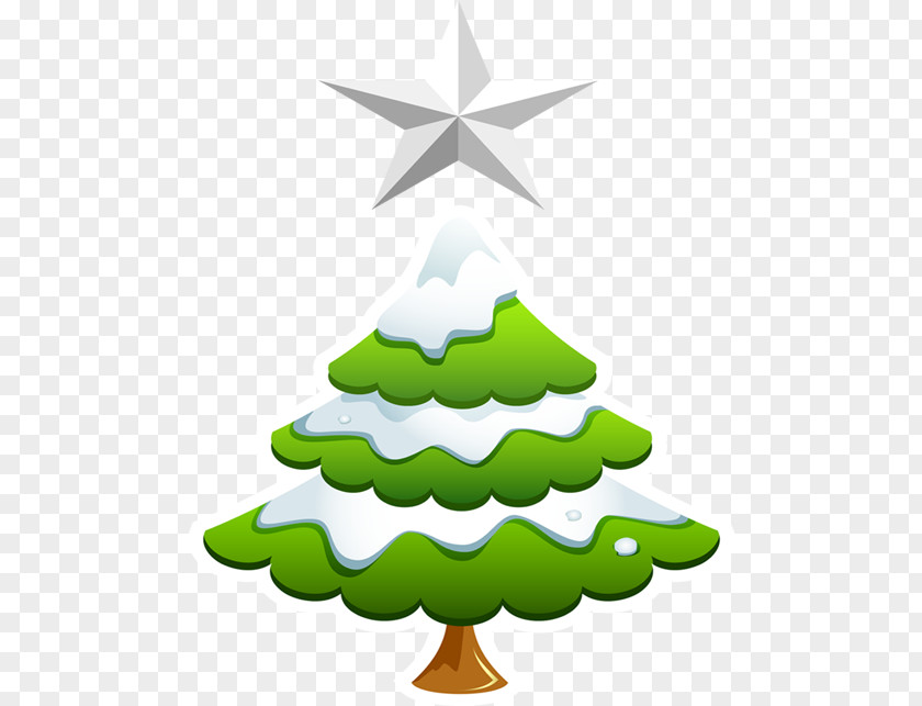 Spruce Evergreen Christmas And New Year Background PNG