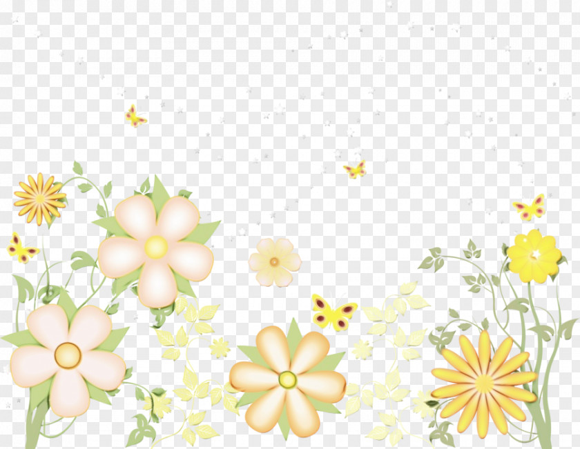 Chamomile Petal Watercolor Floral Background PNG