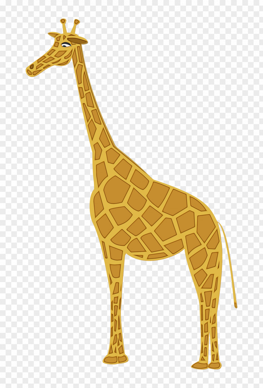 Fawn Neck Giraffe Giraffidae Terrestrial Animal Wildlife Figure PNG