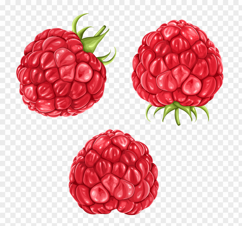 Raspberry Blackberry Fruit Clip Art PNG