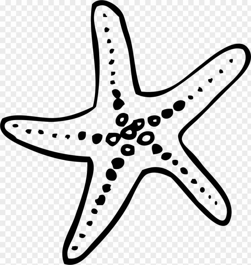 Starfish Wedding Studio Fotogold Echinoderm Elopement PNG