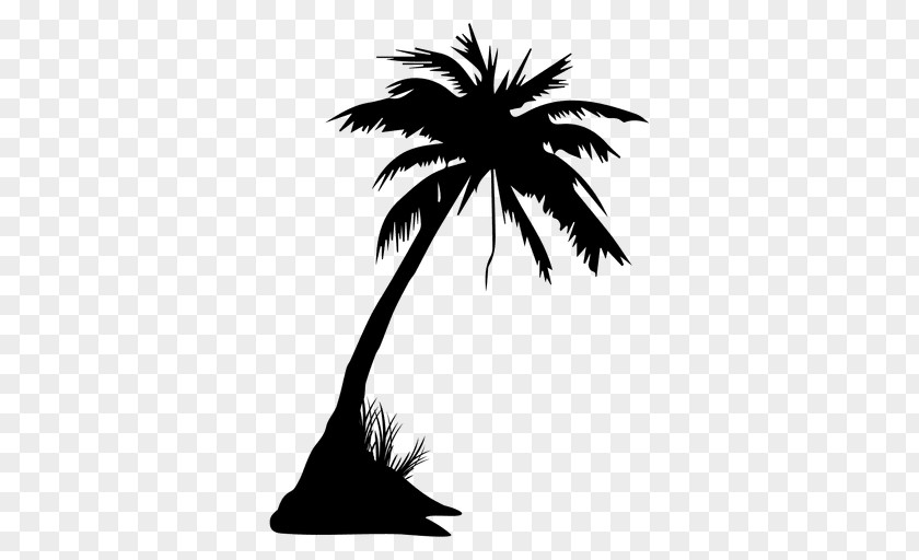 Summer Coconut Grove Play Background Arecaceae Tree Drawing Clip Art PNG