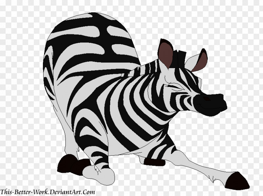 Zebra Quagga The Mbali Fields Migration YouTube Herd PNG