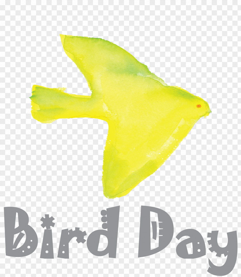 Bird Day Happy International PNG