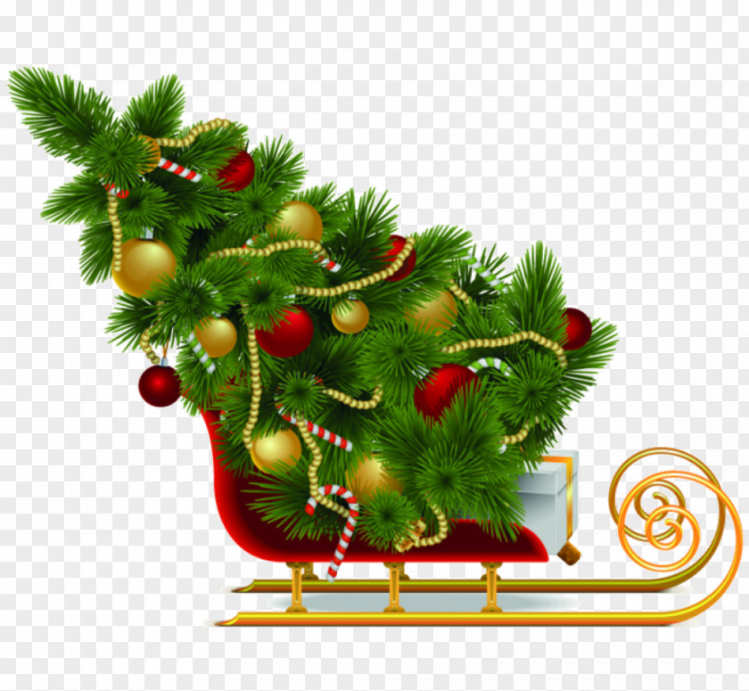 Christmas Tree Santa Claus Sled PNG