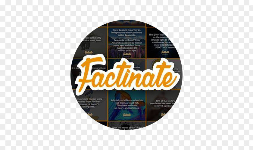 Fun Facts Font Product Brand PNG