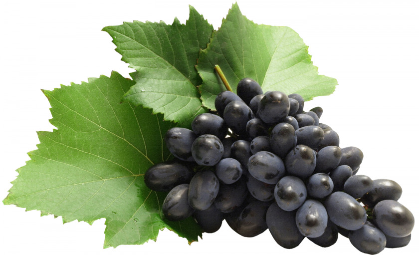 Grapes Common Grape Vine Zante Currant Clip Art PNG