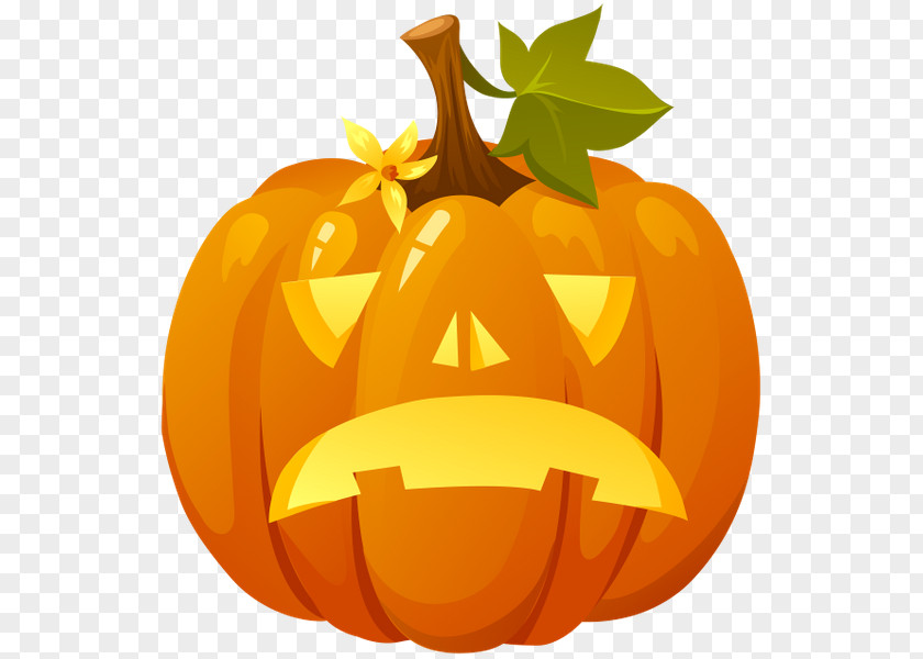 New Hampshire Pumpkin Festival Jack-o'-lantern Halloween Cucurbita PNG