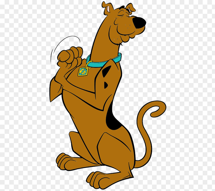 Scooby Doo Shaggy Rogers Scooby-Doo! Hanna-Barbera PNG