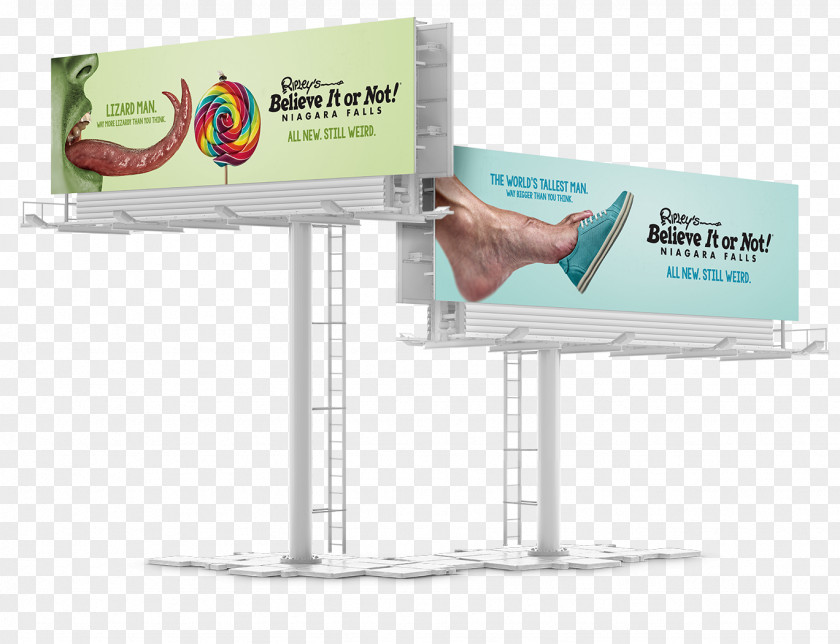 Brand Web Banner PNG