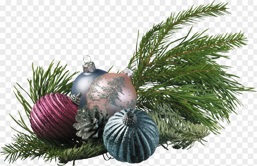 Chris Pine Christmas Tree Fir New Year Tinsel PNG
