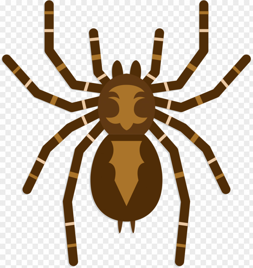 Clip Art Arachnid Insect Product Pattern PNG
