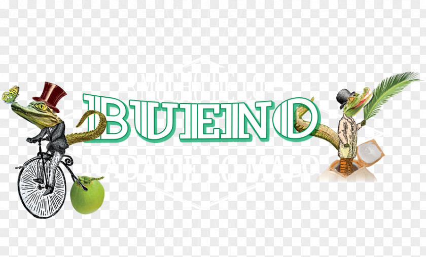 Fred The Frog Lo Malo Coconut Water Brand Logo Spanish Language PNG