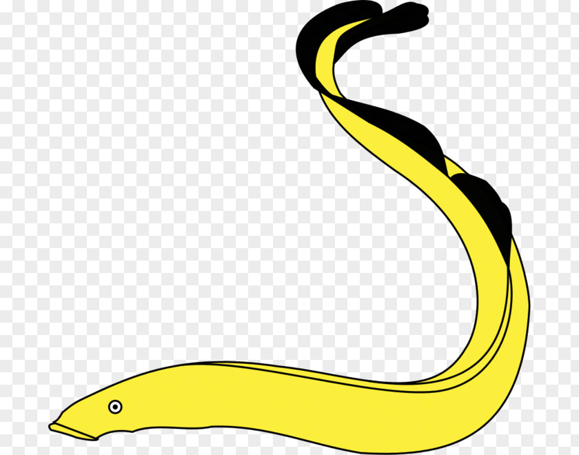 Moray Eel Clip Art PNG