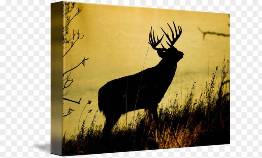 Silhouette Elk Antler Stock Photography PNG