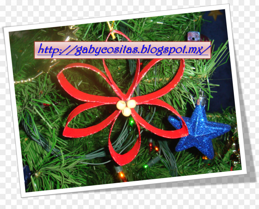 Toilet Paper Scroll Christmas Eve Flower PNG