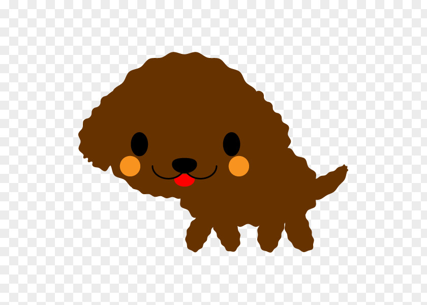 Toy Poodle Puppy Dog Breed PNG