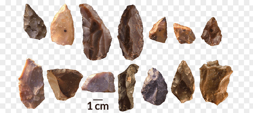 Ancient Tile Early Human Migrations Neanderthal Jebel Irhoud Upper Paleolithic Homo Sapiens PNG
