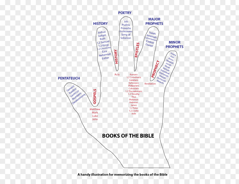 Chapters And Verses Of The Bible Study Book Gospel Matthew Acts Apostles PNG