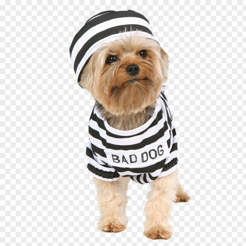 Puppy Pnf Yorkshire Terrier Bulldog Beagle Halloween Costume PNG