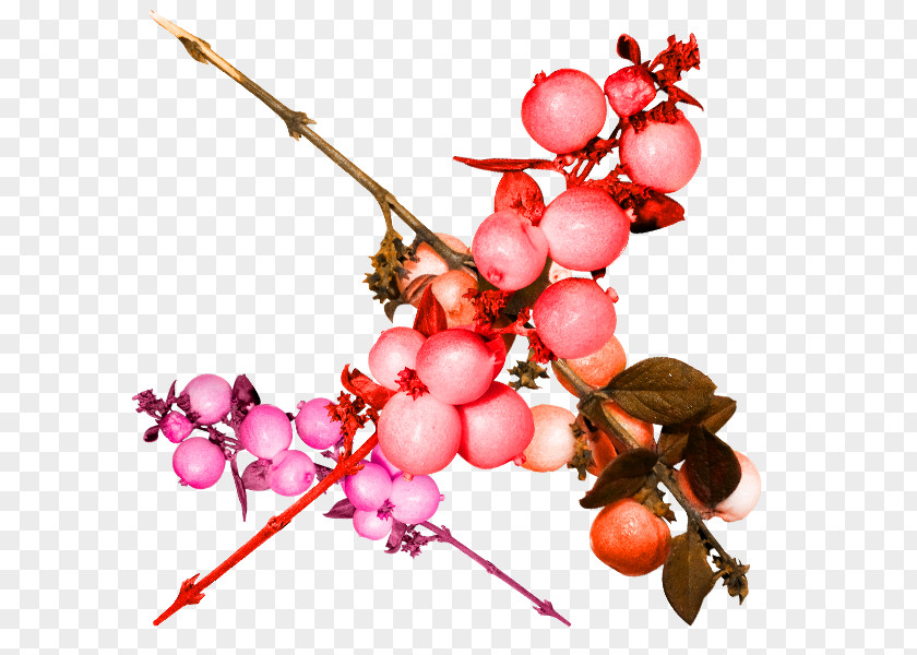 Small Red Pomegranate In Kind Fruit Grape Frutti Di Bosco PNG