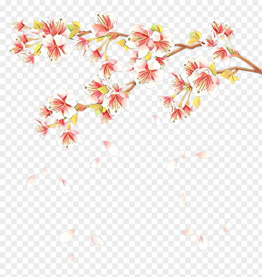 Cherry Blossom East Asian Japan Drawing Flower PNG