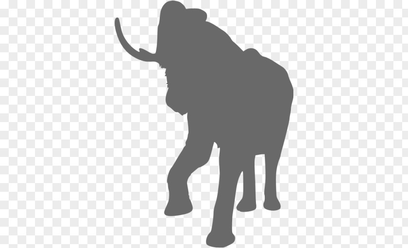 Elephant Silhouette Black African Bush Asian Image PNG