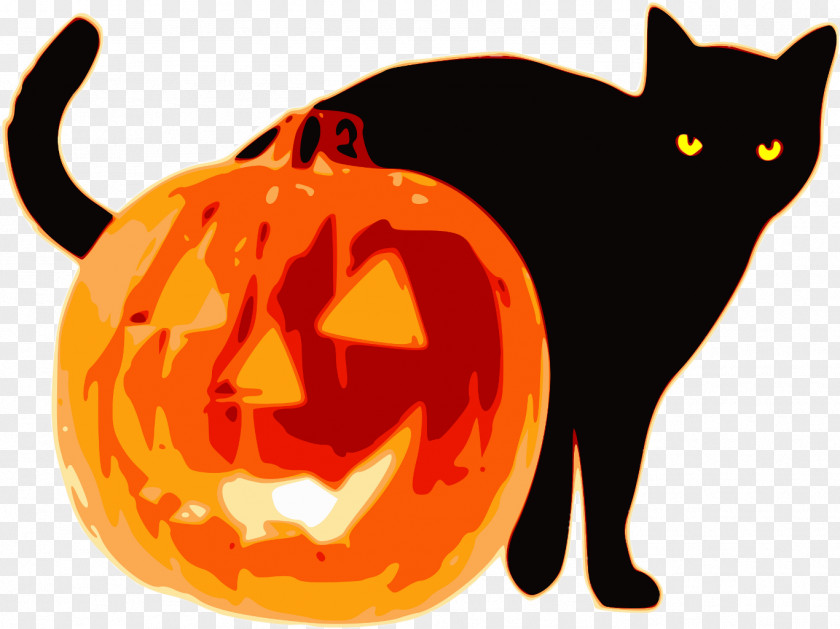 Pumpkin Jack-o'-lantern Clip Art Portable Network Graphics Halloween Pumpkins PNG