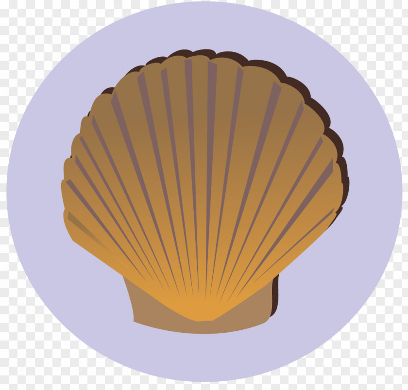 Scallop In Shell Maidstone ARK: Survival Evolved Altar Apple PNG