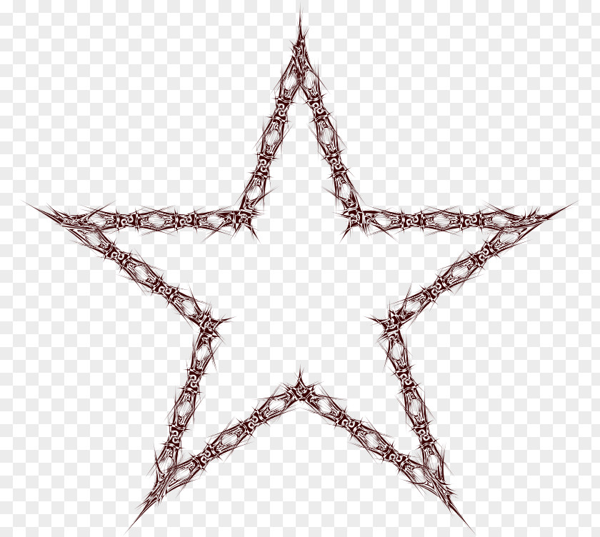 Star Five-pointed PNG