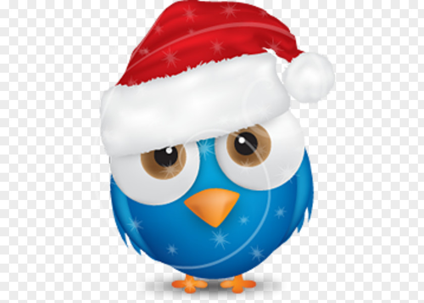 Bird Christmas Santa Claus Clip Art PNG