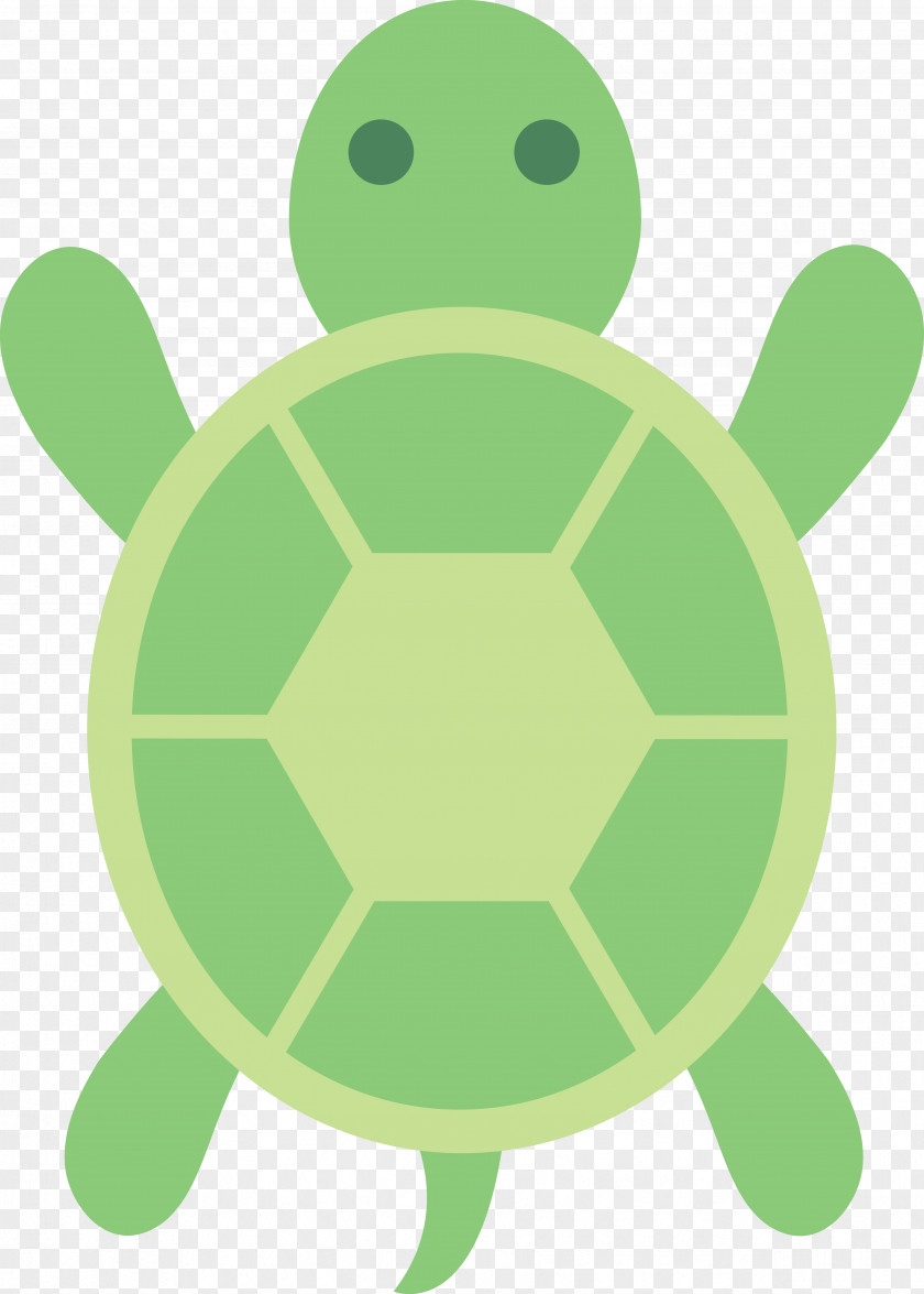 Cartoon Turtles Green Sea Turtle Free Content Clip Art PNG