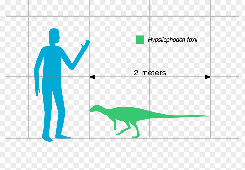 Dinosaur Hypsilophodon Spinops Psittacosaurus Early Cretaceous PNG