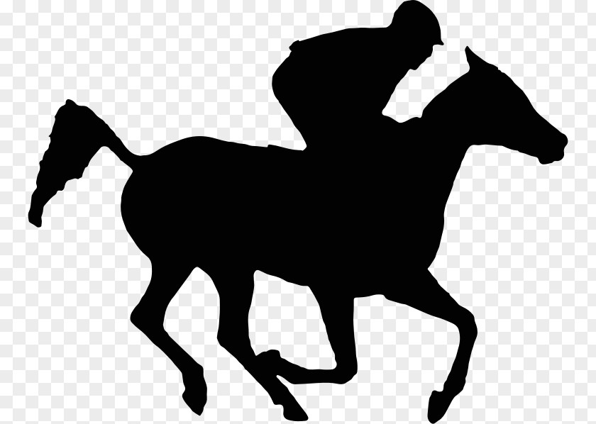 Galloping Horse Thoroughbred Racing Arabian Equestrian PNG