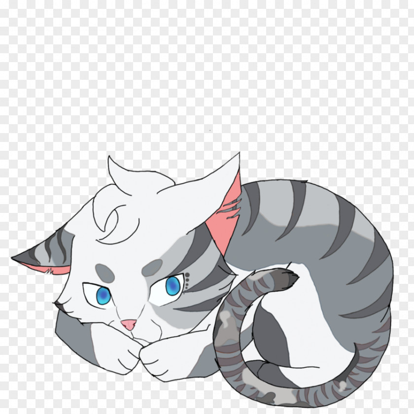 Kitten Whiskers Cat Night Whispers Ivypool PNG