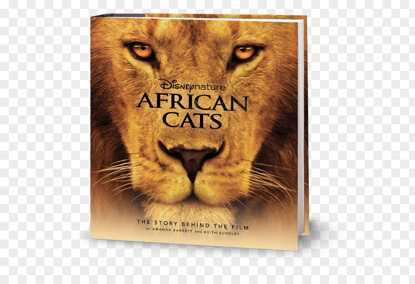 Lion Cat Disneynature Documentary Film PNG