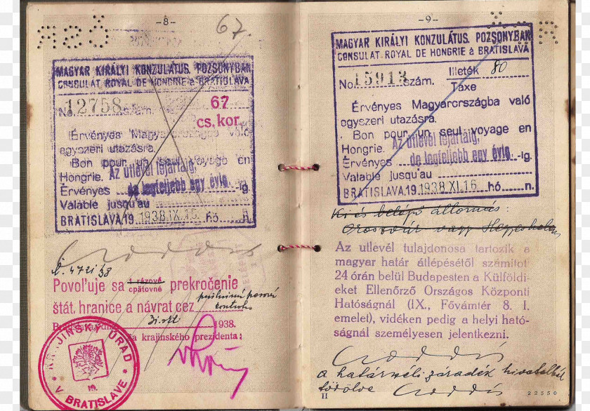 Mussolini Identity Document PNG