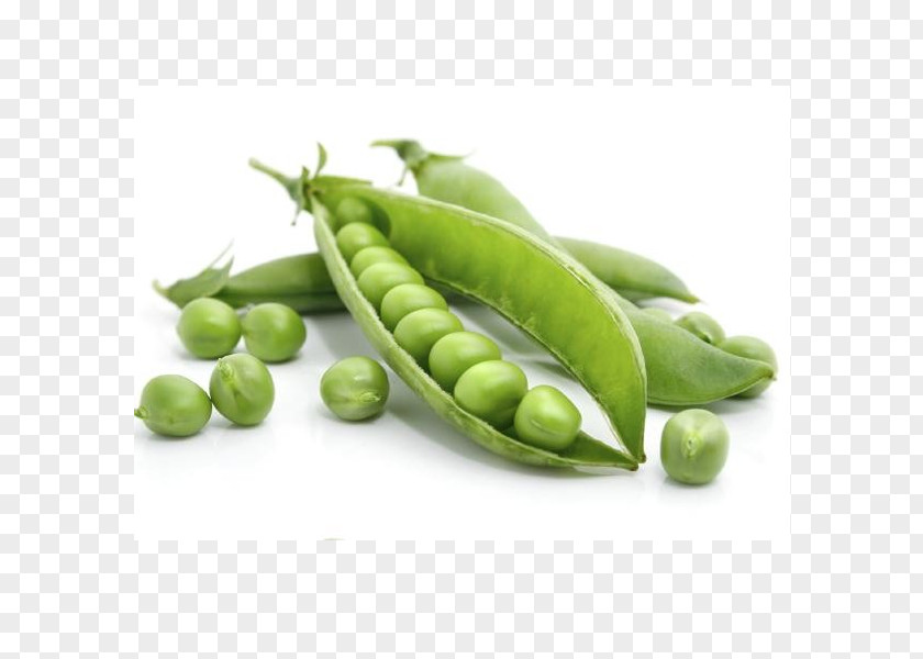 Pea Vegetable Legume Food Plant PNG