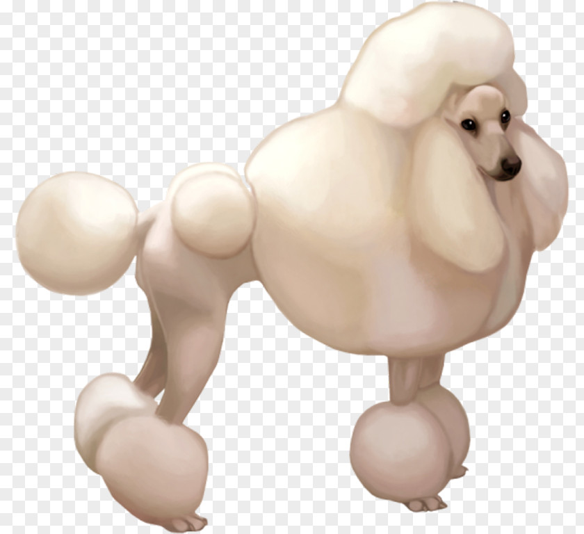 Puppy Dog Breed Poodle Non-sporting Group Toy PNG