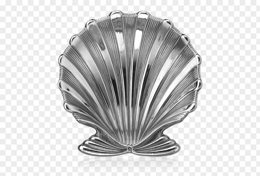 Seashell Household Silver Buccellati Jewellery PNG