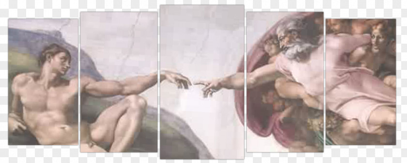 Turn Around Sistine Chapel Ceiling St. Peter's Basilica The Creation Of Adam Vatican Museums PNG