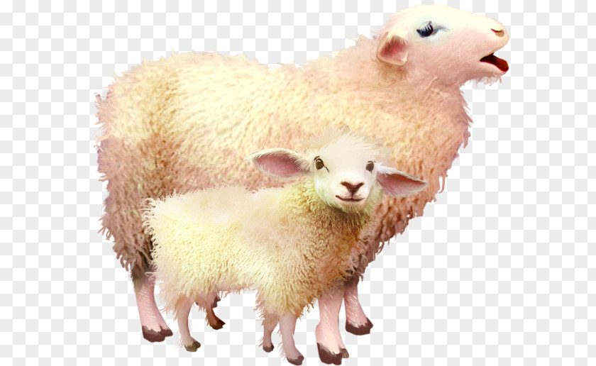 Two Sheep Goat PNG