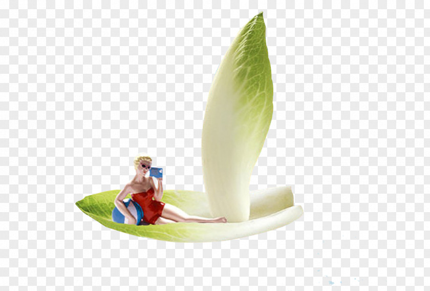 Vegetable Beauty Sitting On Board Clip Art PNG