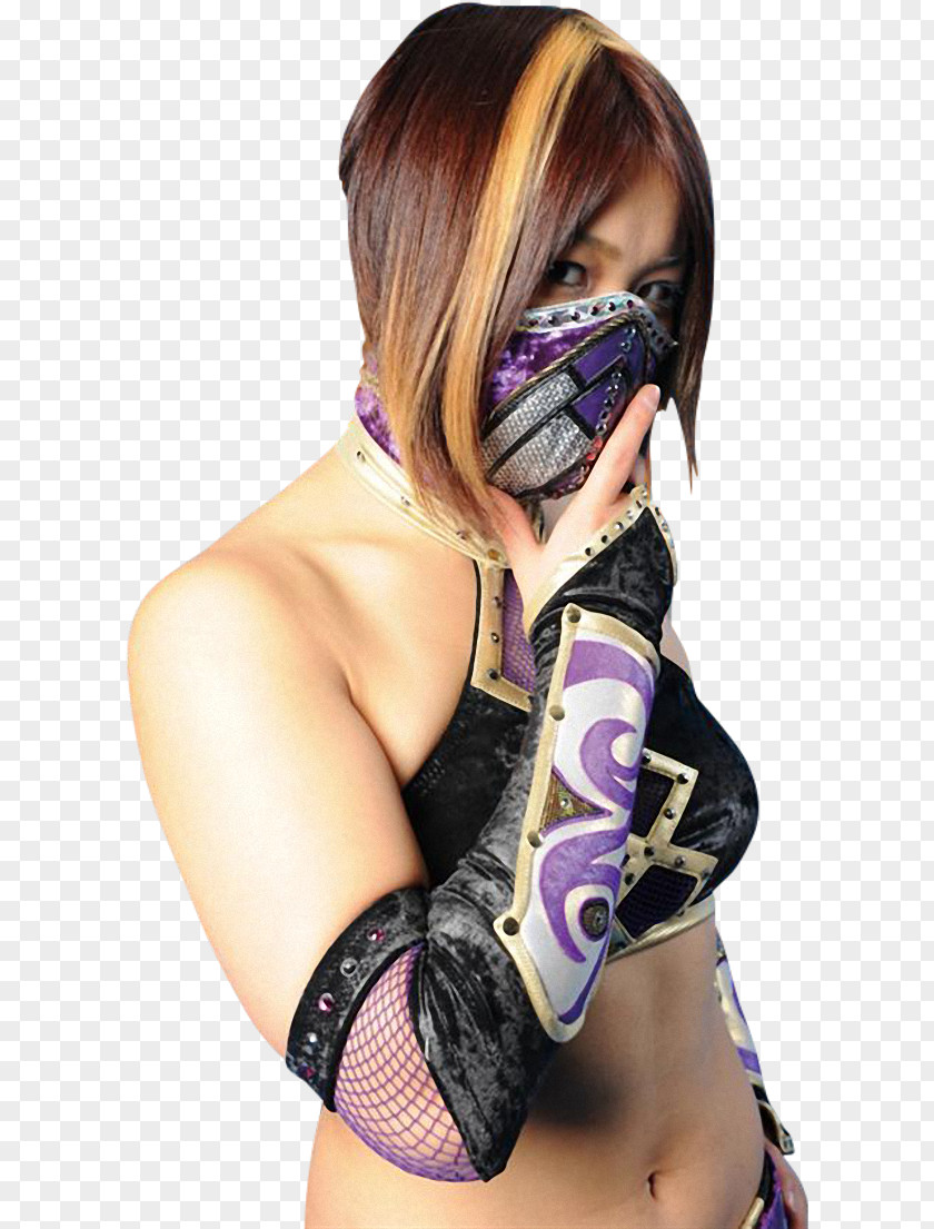 Women's Professional Wrestling Wrestler 女子プロレス World Wonder Ring Stardom PNG