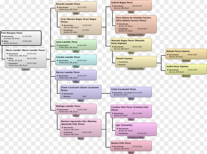 Bar Chart Diagram Family Tree Text PNG