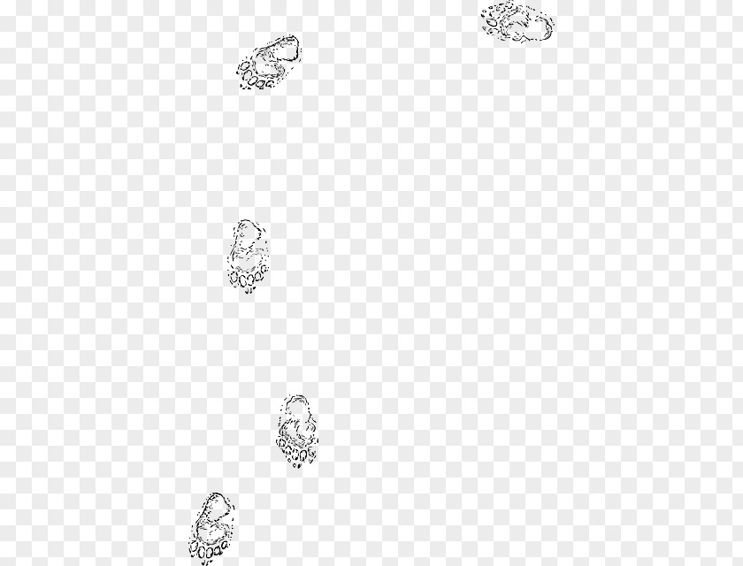 Bear Paw Clip Art Footprint Animal Track Vector Graphics PNG