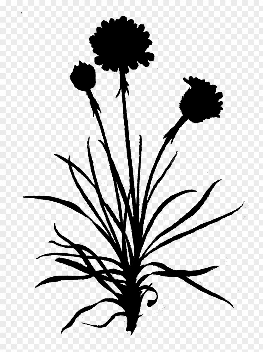 Dandelion Clip Art Leaf Floral Design PNG